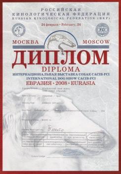 Евразия-2008