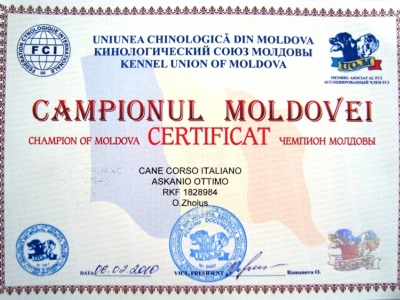 Чемпион Молдовы