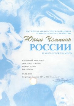 Юный Чемпион России